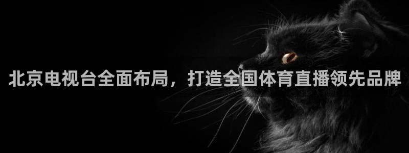 360足球直播视频雨燕直播：北京电视台全面布局，打造全国体育直播领先品牌