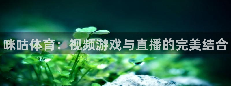 雨燕直播足球直播：咪咕体育：视频游戏与直播的完美结合