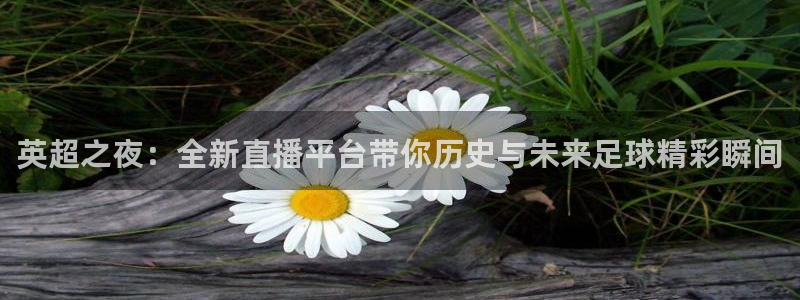 nba雨燕直播体育：英超之夜：全新直播平台带你历史与未来足球精彩瞬间