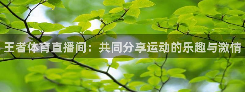 雨燕360体育：王者体育直播间：共同分享运动的乐趣与激情
