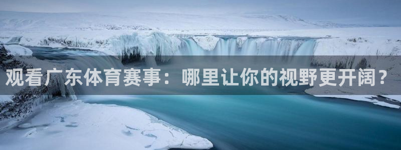 jrs直播雨燕体育：观看广东体育赛事：哪里让你的视野更开阔？