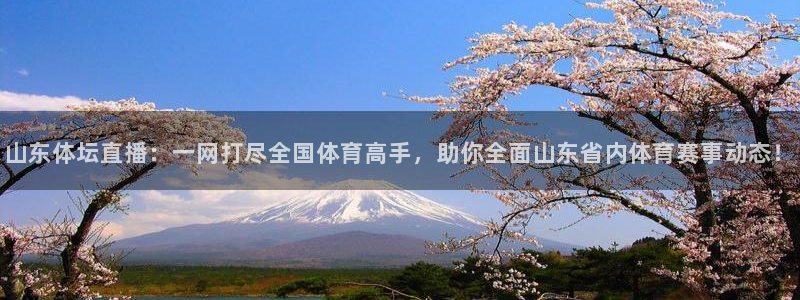 360体育直播雨燕直播：山东体坛直播：一网打尽全国体育高手，助你全面山东省内体育赛事动态！